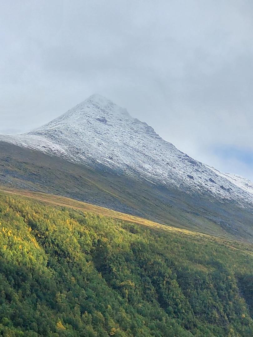 Malangen Tromsø